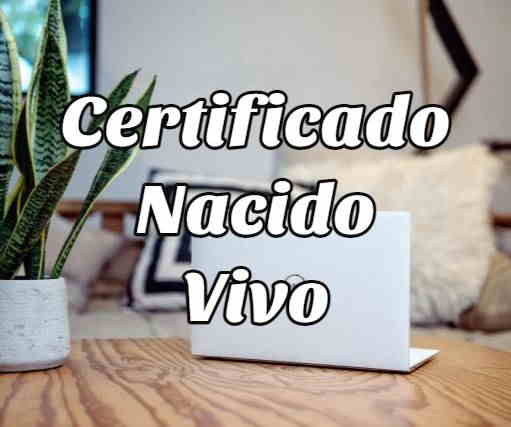 certificado nacido vivo ecuador